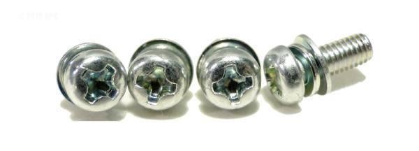Screw