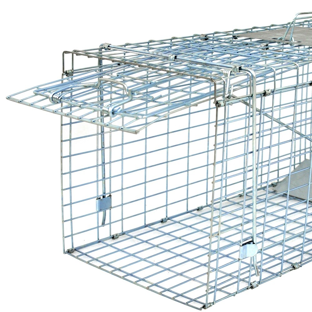 Animal Trap | 32"x12.5"x12" Large Steel Cage Spring Loaded Humane Rodent Possums