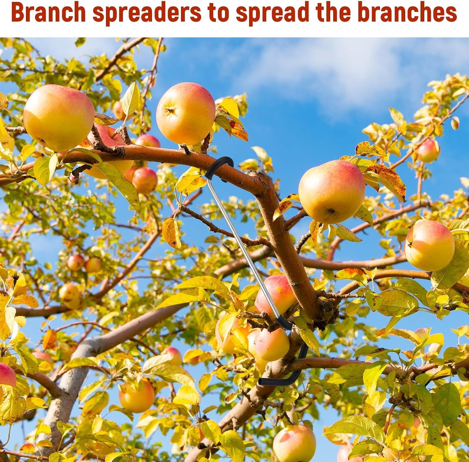 Reusable 7-Inch Branch Spreader for Fruit Trees - Easy Installation & Protection