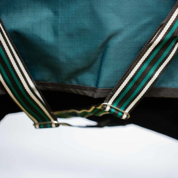 Equinavia Arktis Regular Neck 0g Turnout Sheet Deep Green