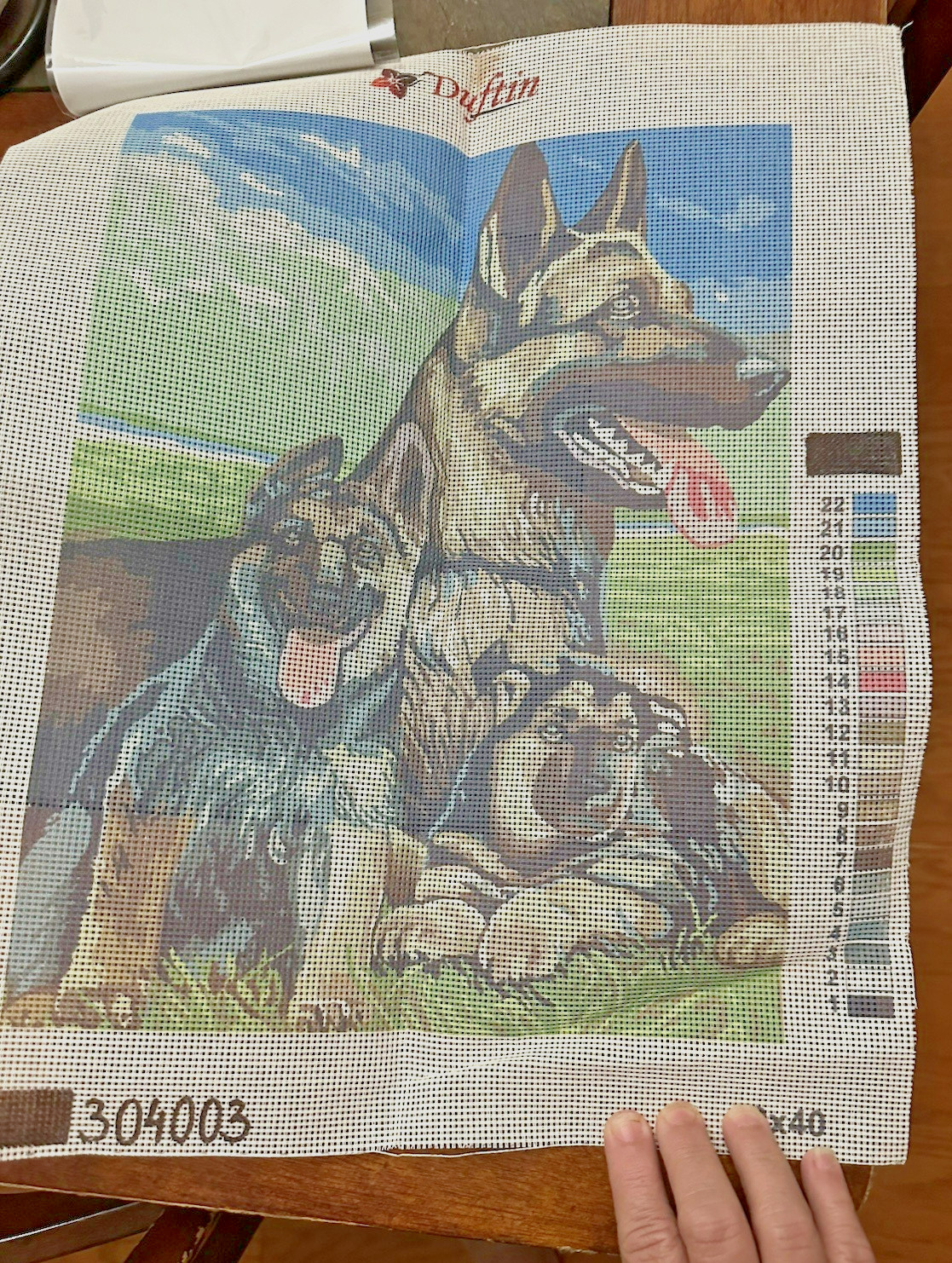 Duftin Needlepoint Canvas - GERMAN SHEPHERDS  12" x 16" #304003  12 Mesh