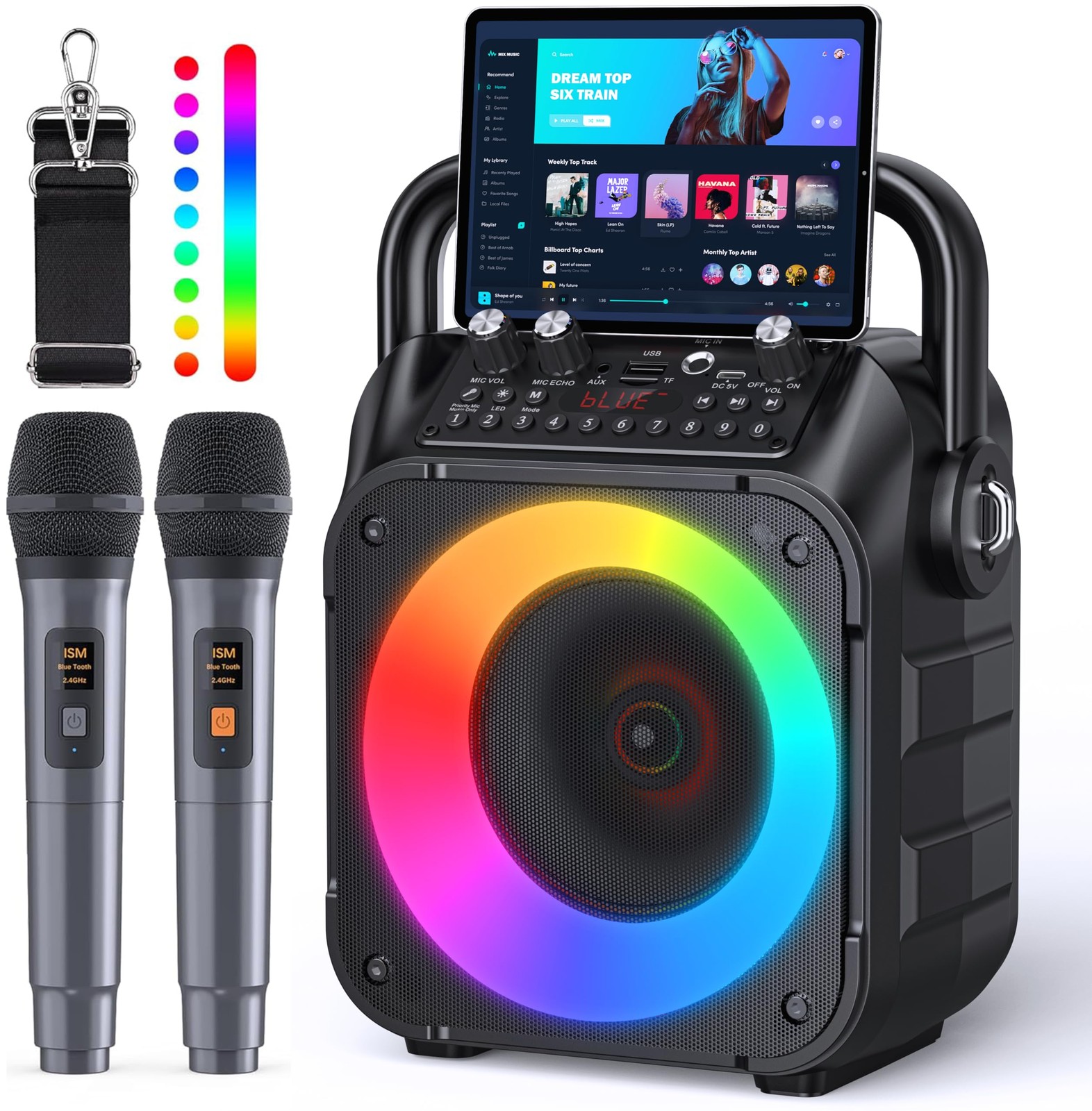 Portable Karaoke Machine with Bluetooth Speaker & 2 Wireless Microphones