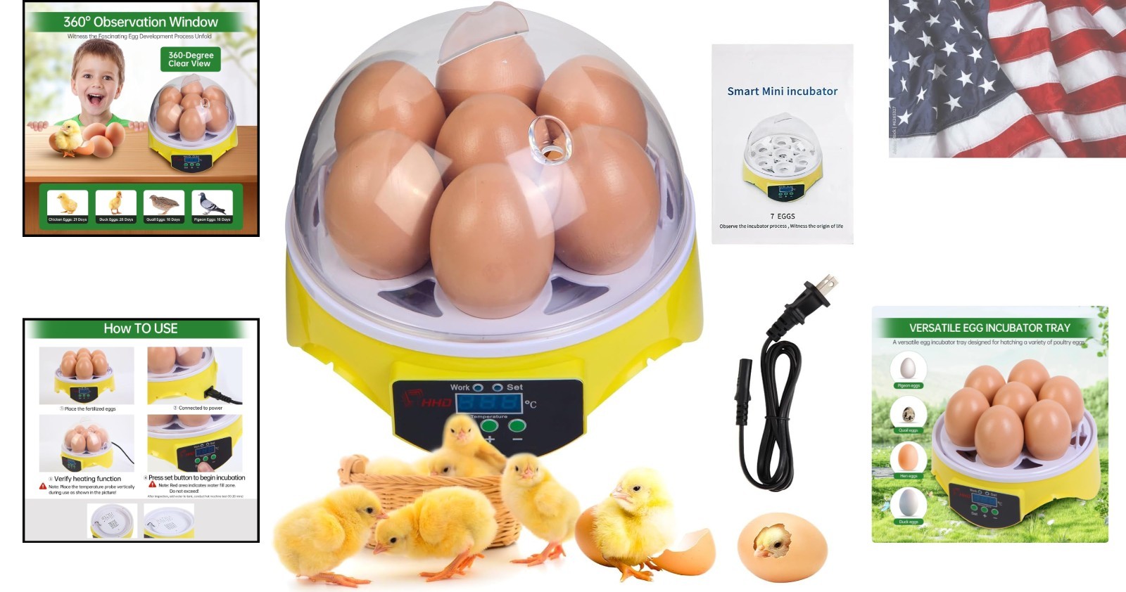 Compact 7-Egg Incubator for Kids with Temperature Control & Full Visibility