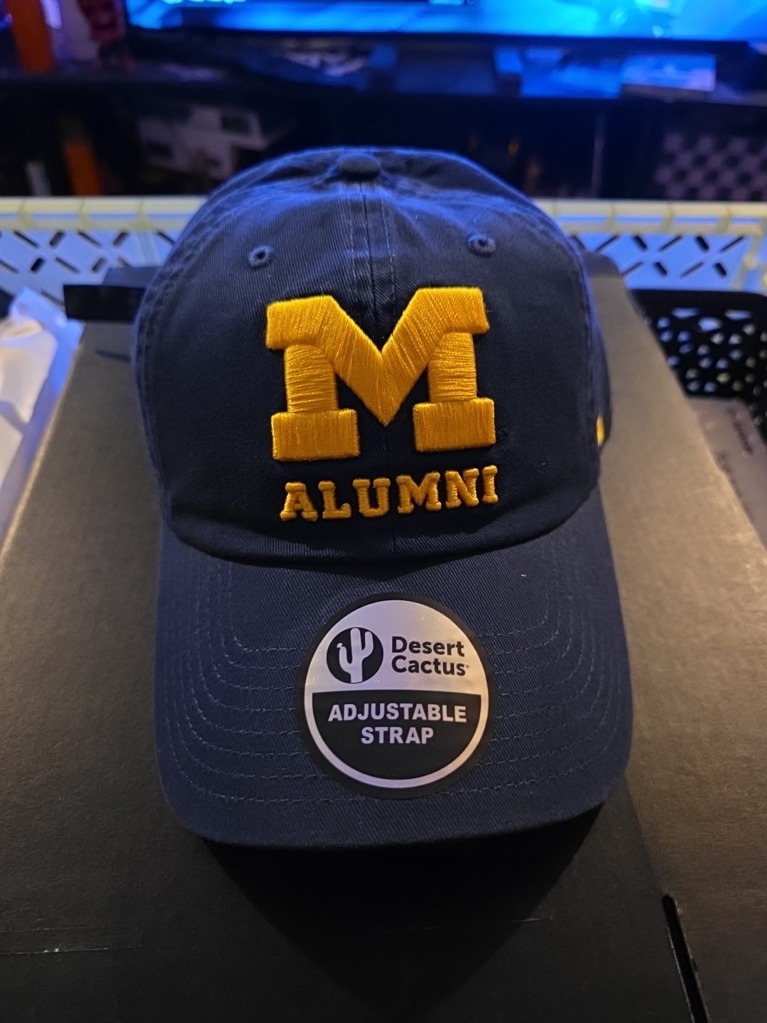 Desert Cactus University of Michigan Alumni Baseball Hat Wolverines