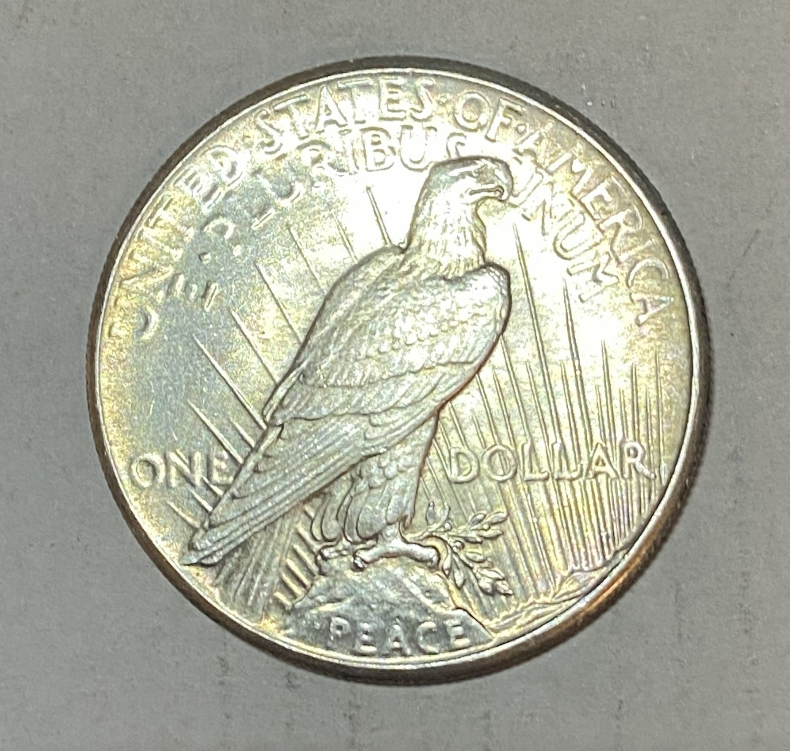 1926 Peace Silver Dollar - #2