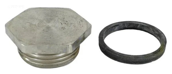 Element Hole Plug w/Gasket