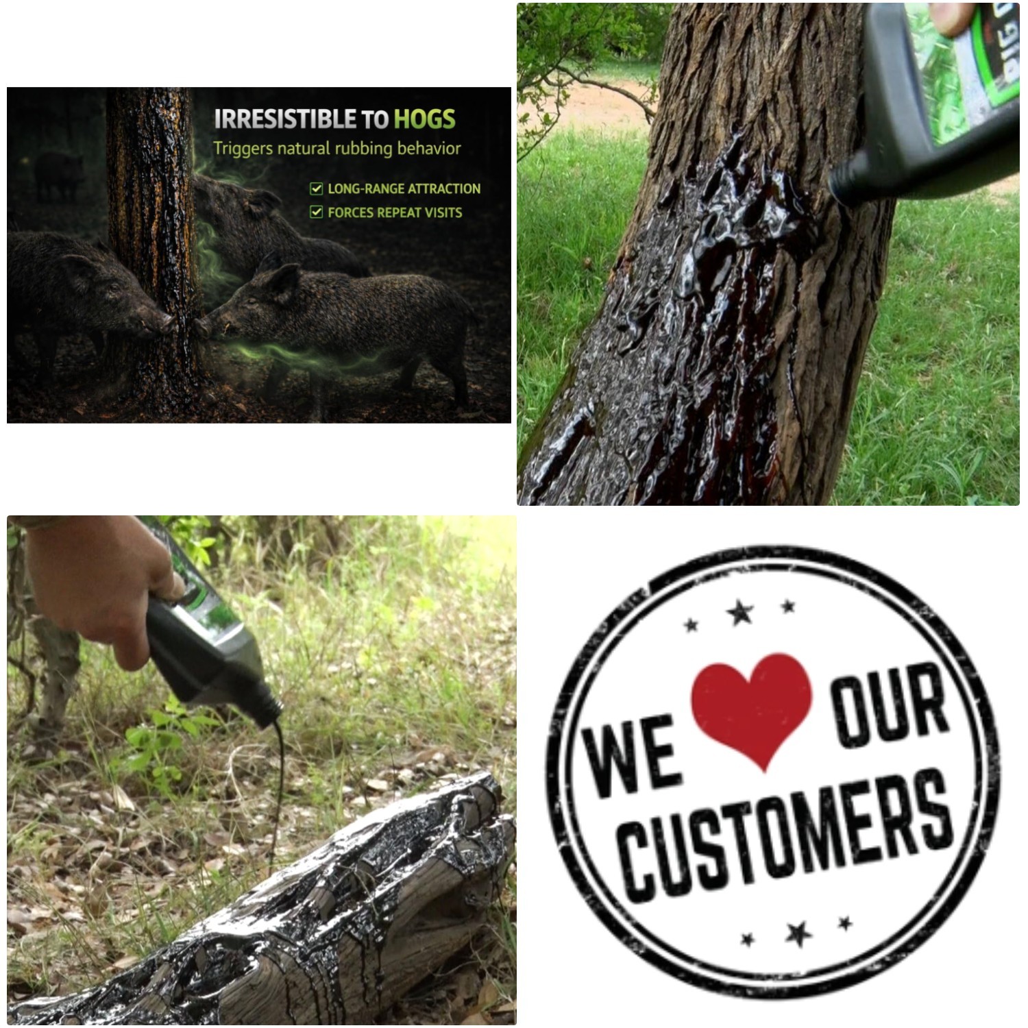Wild Hog Attractant Oil - Long Lasting Lure for Feral Hogs