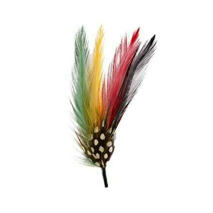 Stetson® Classic Cowboy Hat Feather ( 2 Feathers ) MULTICOLOR