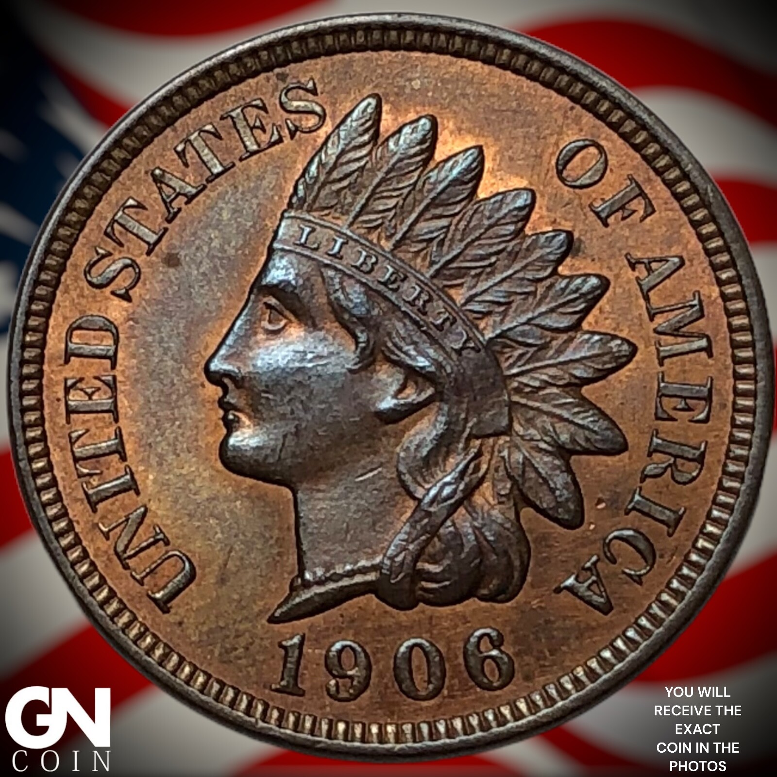 1906 Indian Head Cent Penny Y5251