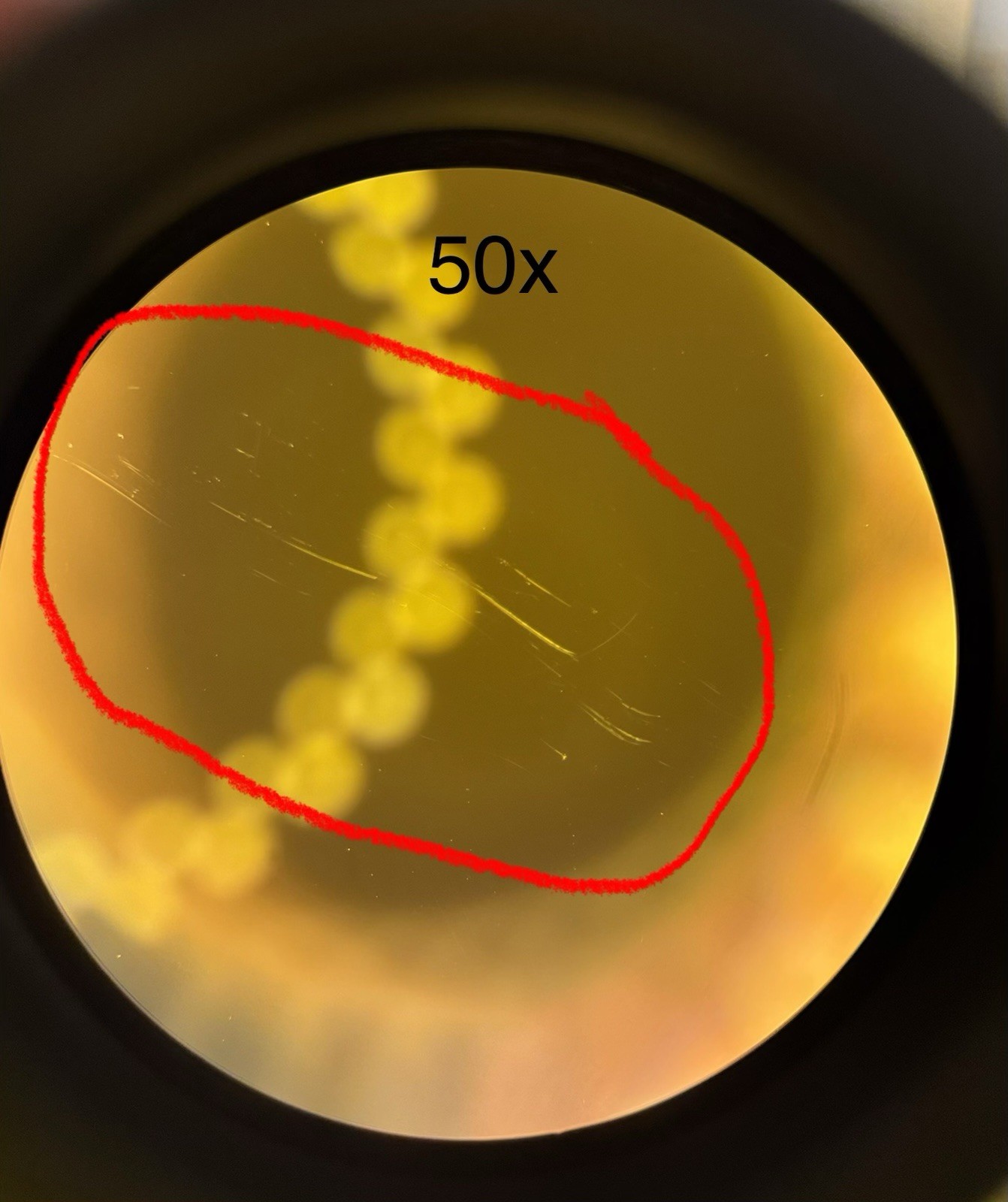 Olympus UPlanSApo 4x/0.16 ∞/- Microscope Objective Lens UIS2 -Read