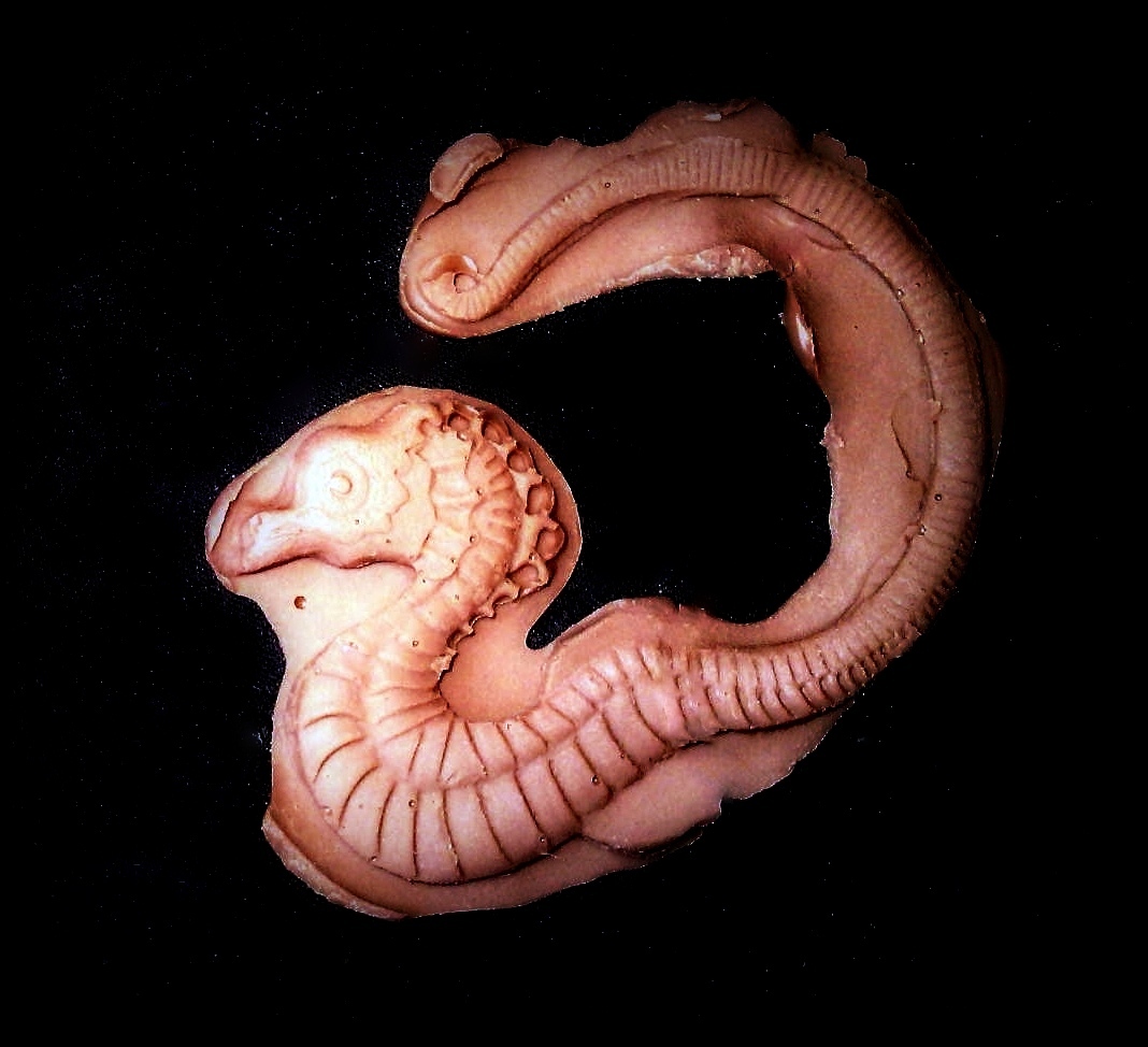 Seahorse Swim-Flexible Silicone Mold-Cake Cookie Crafts Clay  Fondant