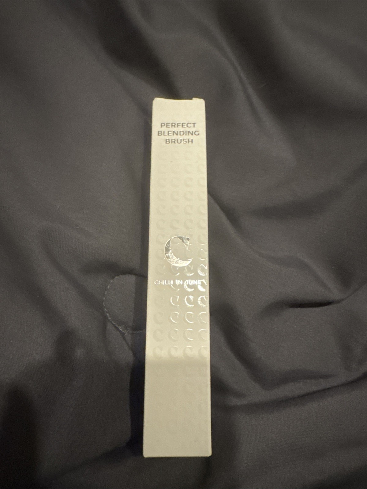 Chilli In June Perfect Blending Brush C.01 New