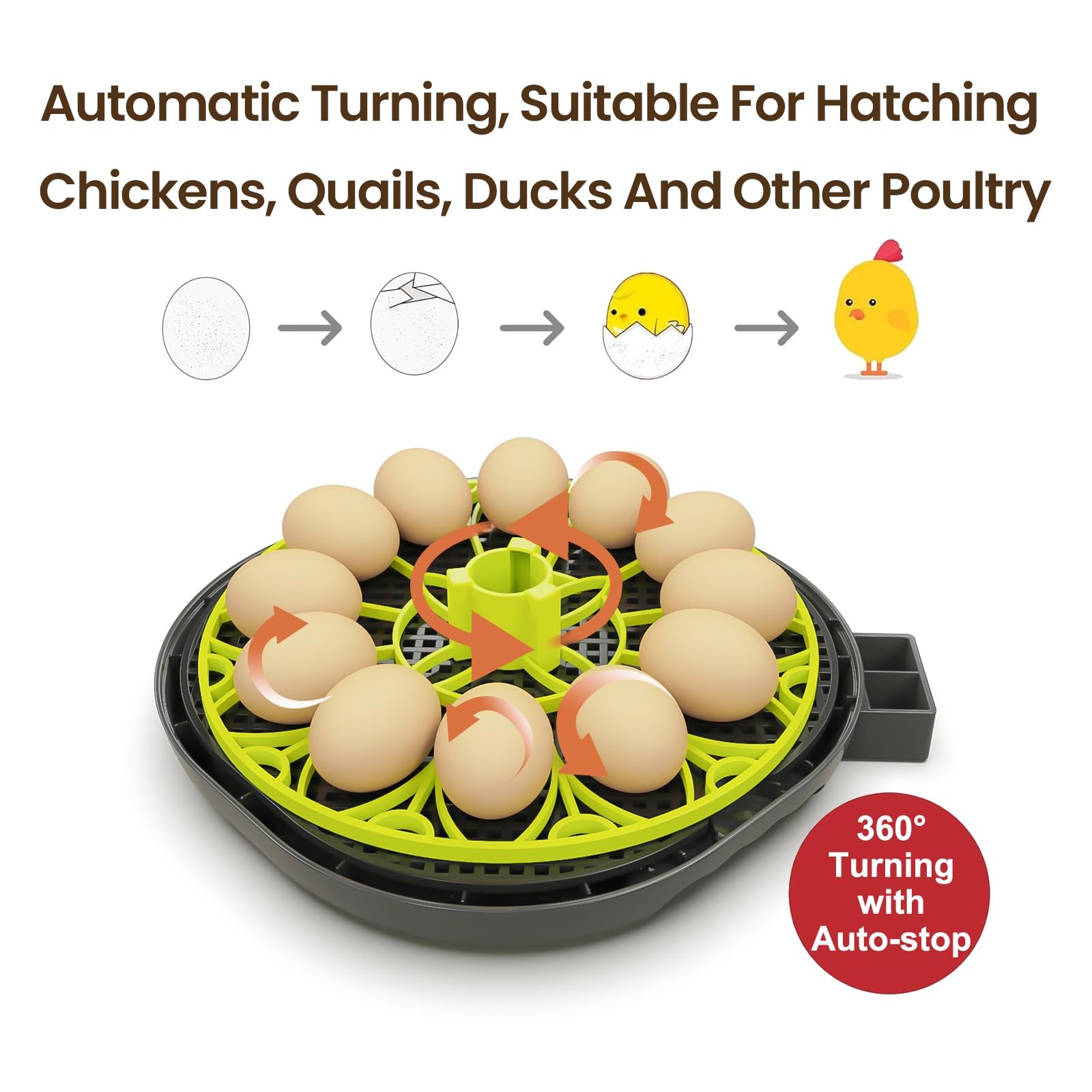 Incubators for Hatching Eggs 12 Egg Incubator with Automatic Egg Turning and Hum