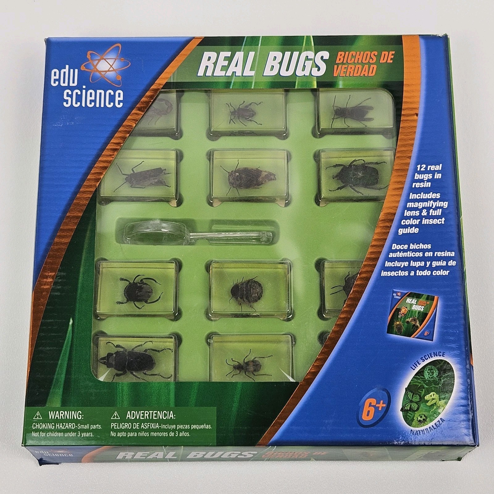 Edu Science REAL BUGS in Resin Insect Display 12-Pack Original Box, Toys "R" Us