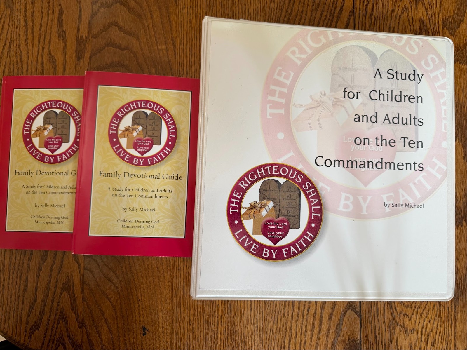 Bible Study for Children & Adults on the 10 Commandments - Sally Michael