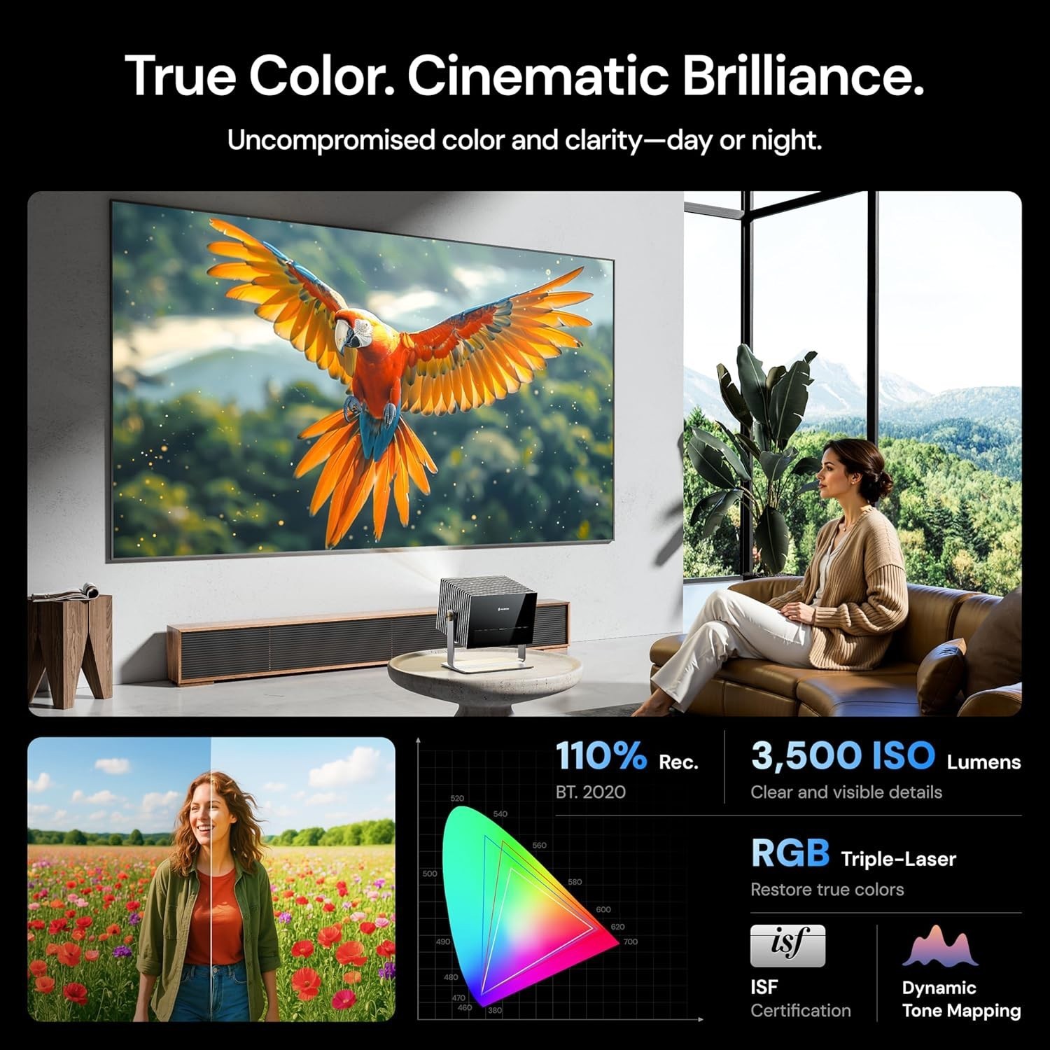 VisionMaster Max 4K Anti-RBE Speckle-Reduction + Ceiling Mount
