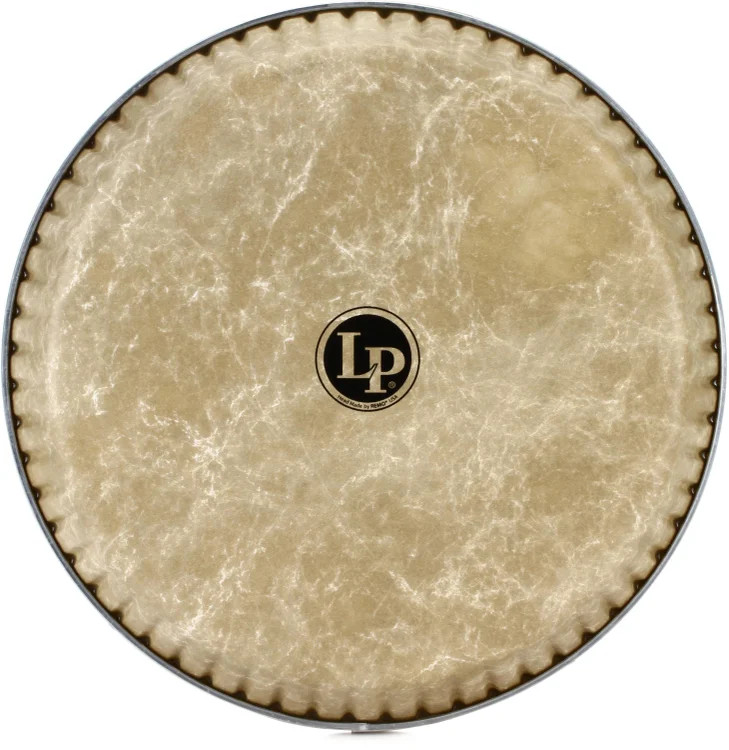 Latin Percussion Fiberskyn Conga Head - 11-3/4" - Conga