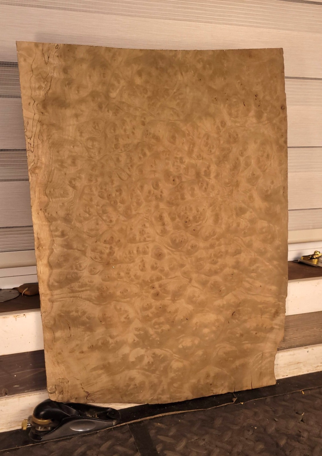True Master Grade One Piece Maple Burl Thick Drop Top