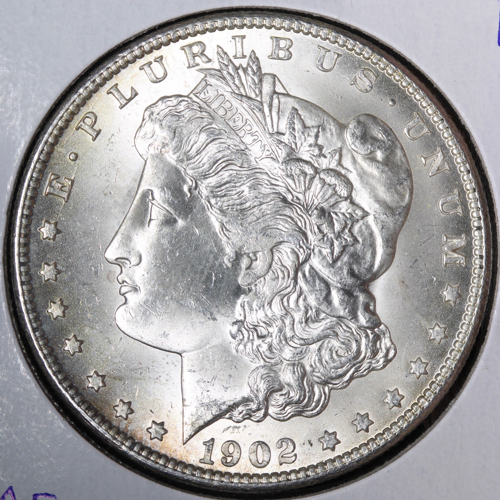 1902-O Morgan Silver Dollar BU *UNCIRCULATED* MS E377 RJAFM