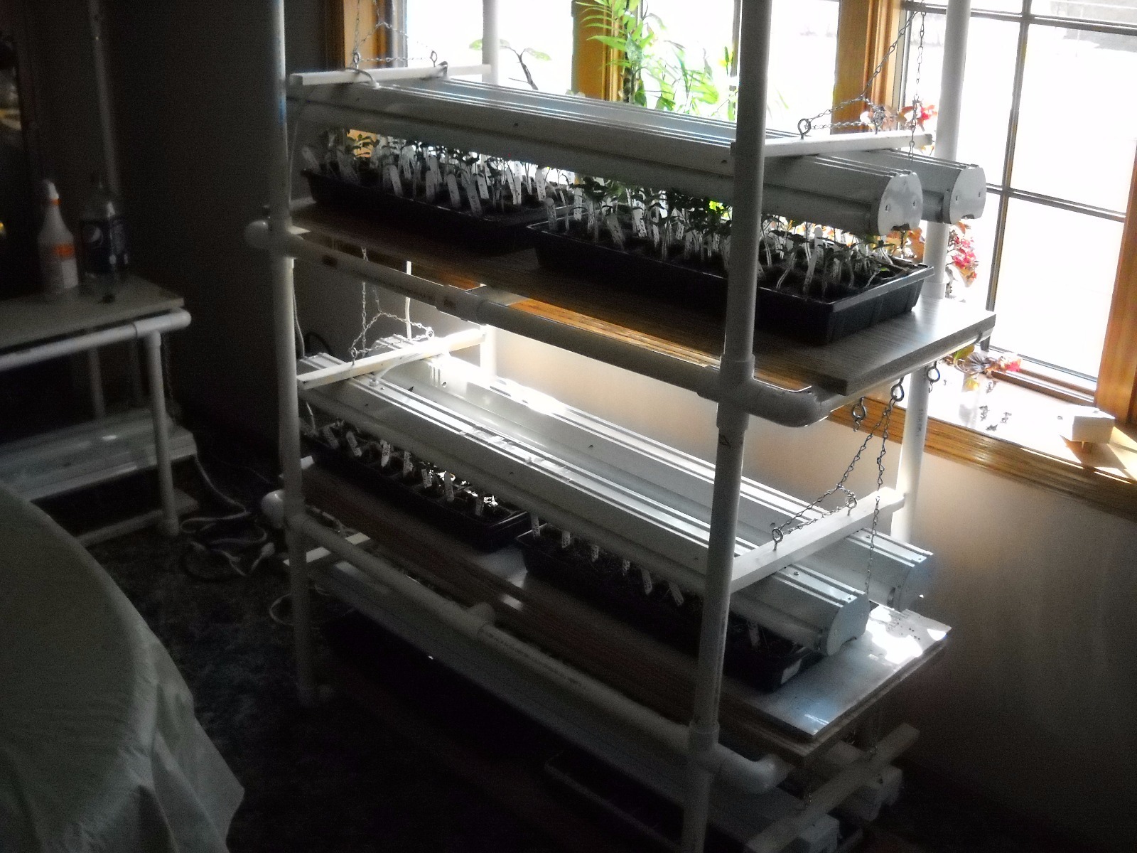 seed starting light stand plus bonus