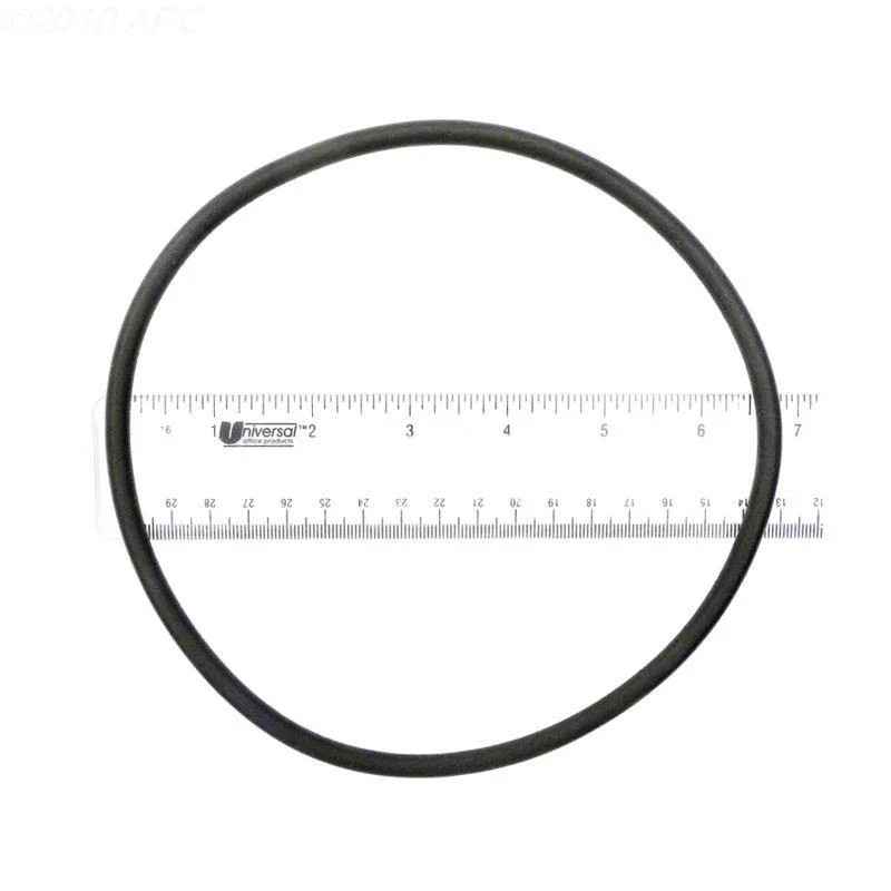 O-Ring, lid (a)