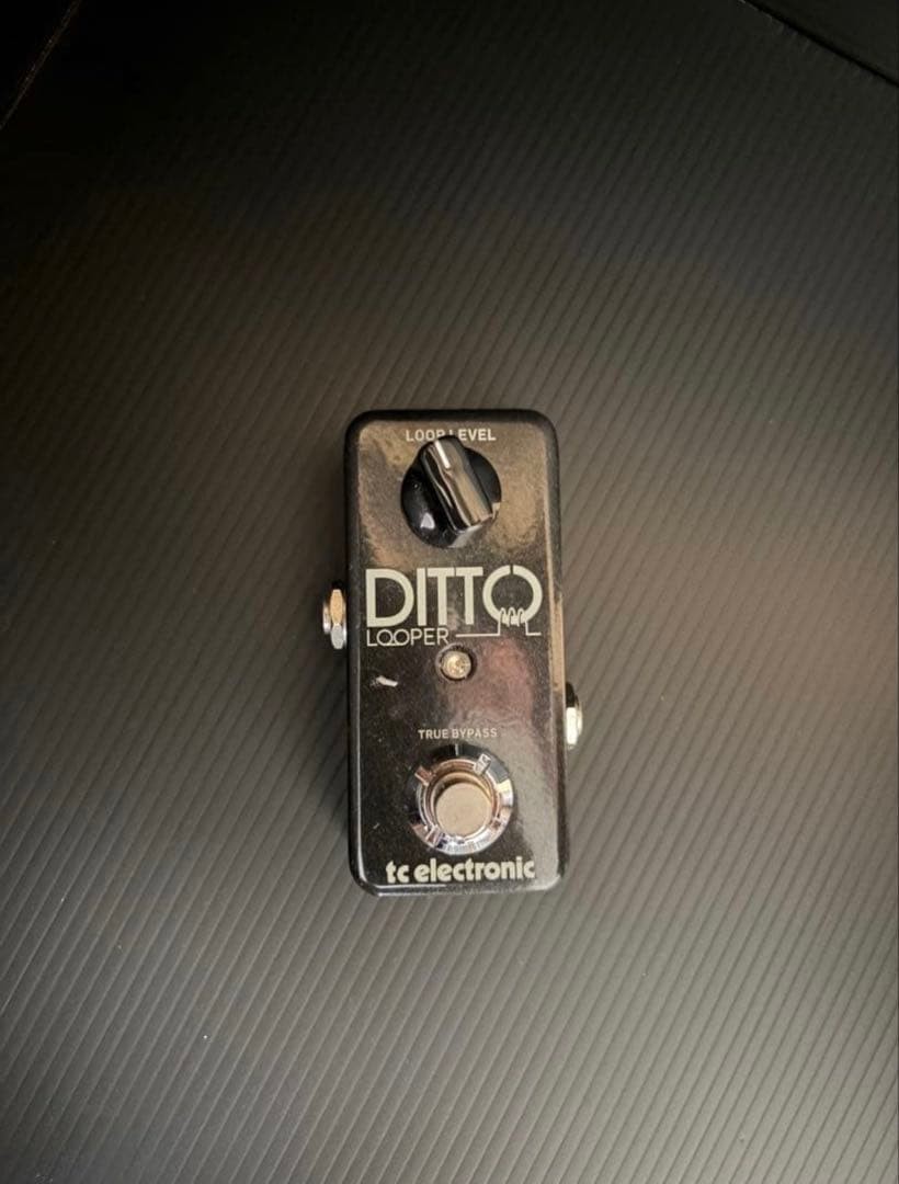 tc electronic Ditto Looper