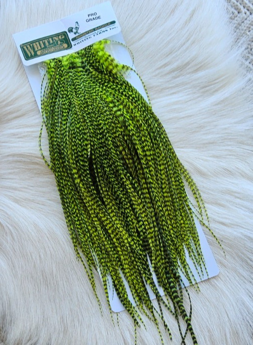 Whiting "" Dry Fly  Full Saddle,, Color;  Grizzly/Kelly Green.   Free Shipping.