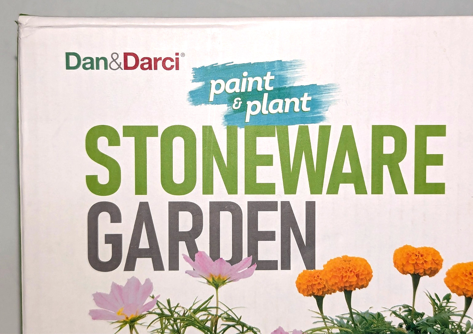 Dan&Darci Paint & Plant Flower Stoneware Garden Fun for Boys Girls Ages 8+