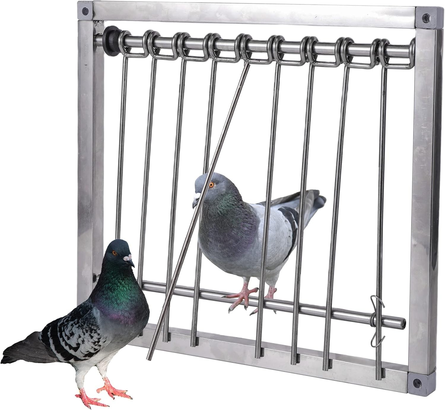 Pigeon Trap Door Stainless Steel Entrance Trap Suitable for Quail Poultry Birds