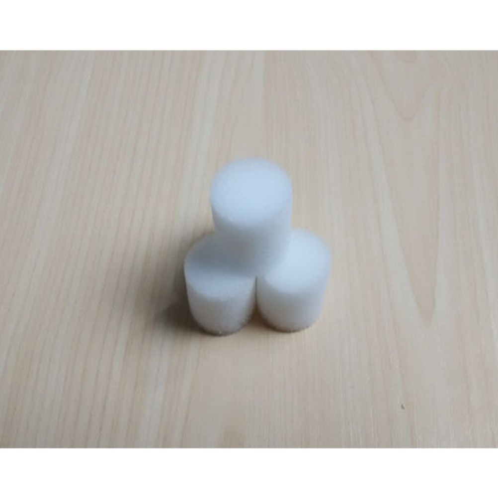 100 Pcs Vegetable Planting Hydroponic Sponges Growing Growth Hydroponics