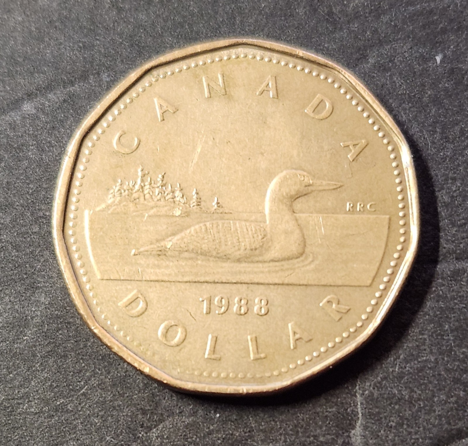 1989 Canadian Loonie 1 $ dollar coin Canada Queen Elizabeth II