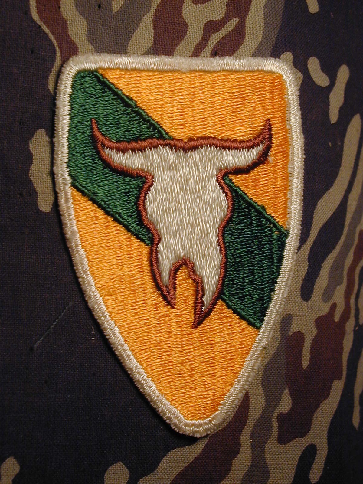 163rd ACR Armored Cavalry Regiment Montana National Guard color shoulder patch