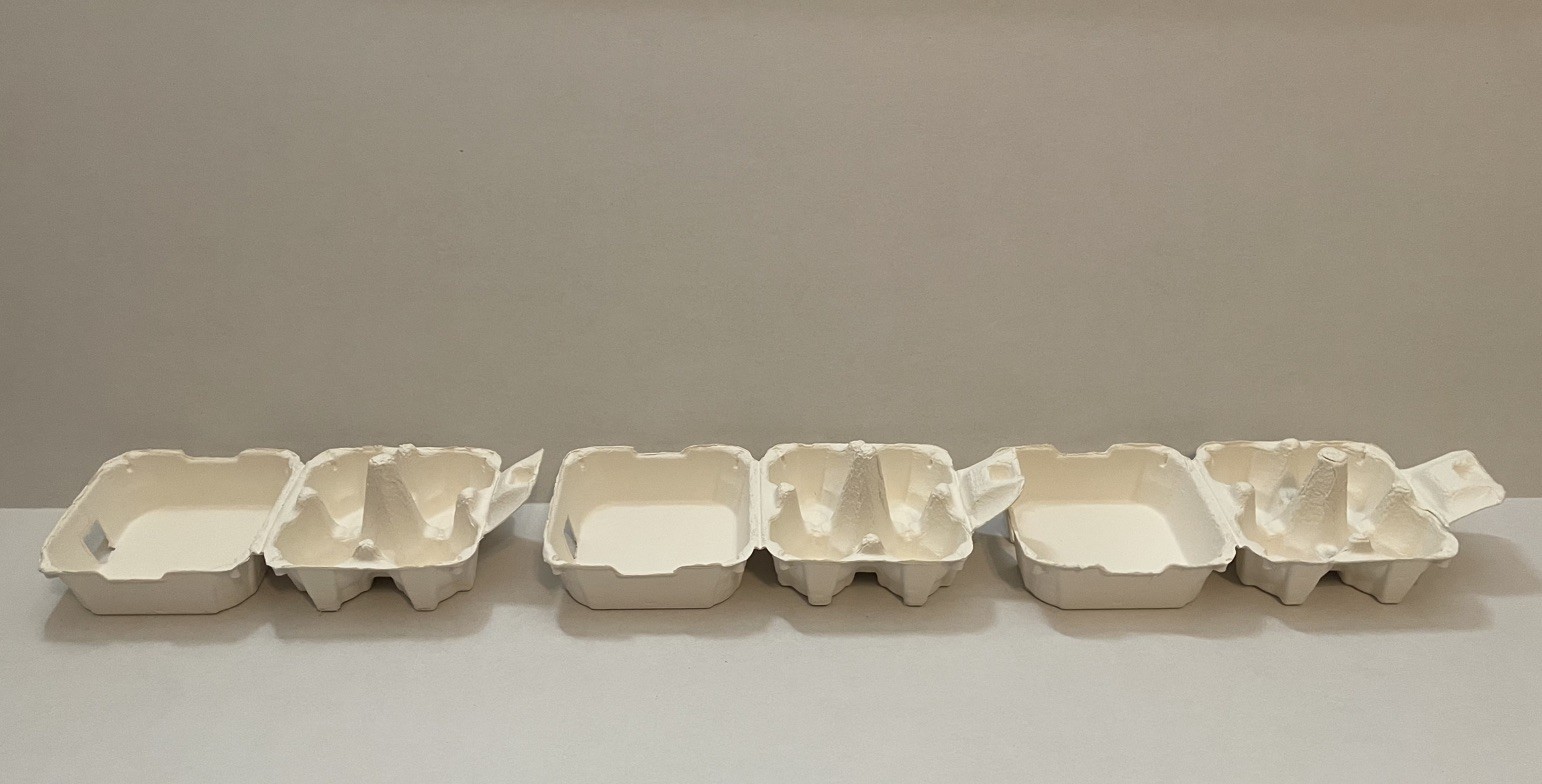 4 Count Paper Pulp Egg Carton (3 pack)