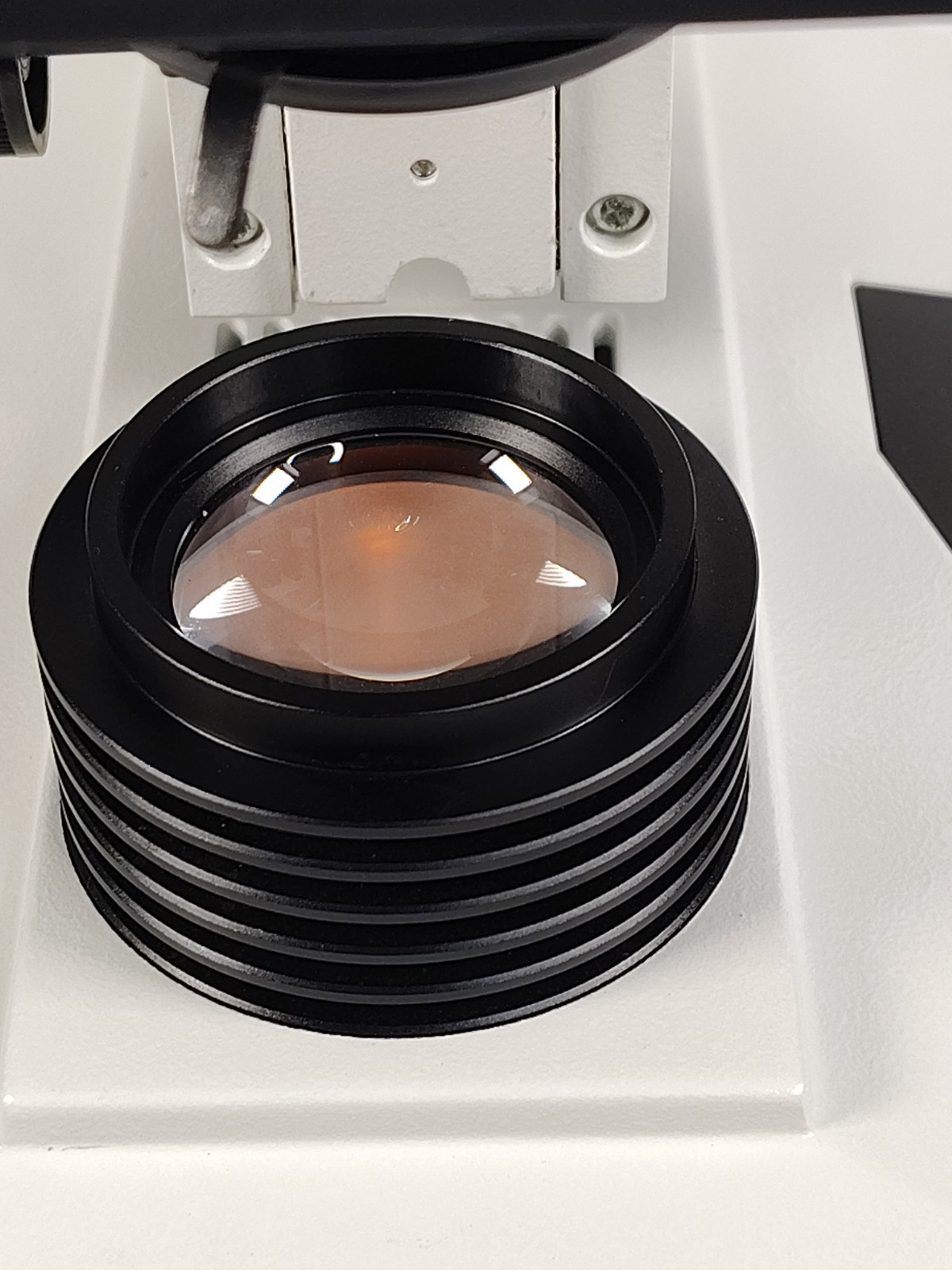 AmScope Lab Clinic Vet Trinocular Compound Microscope
