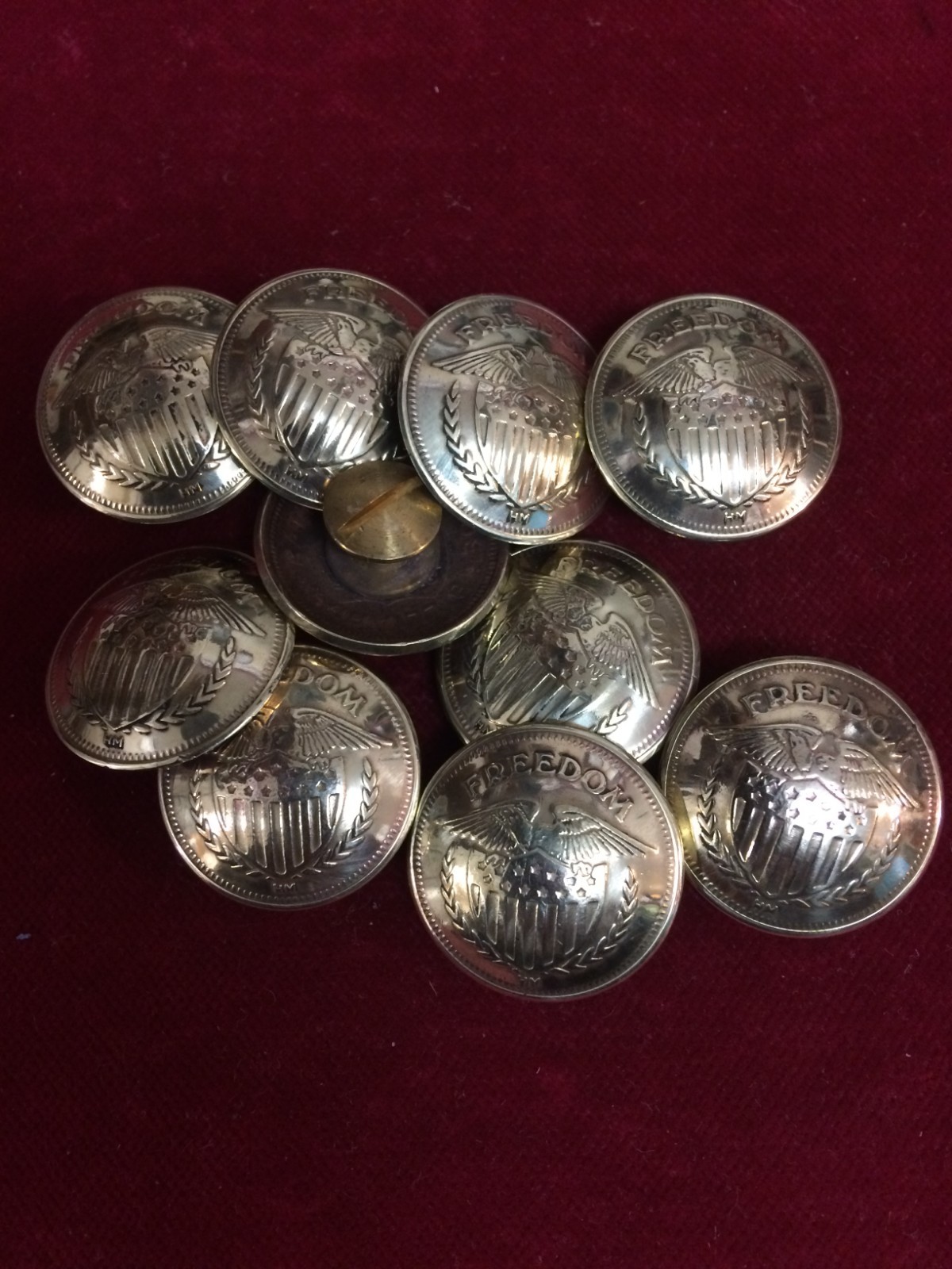 CONCHOS: 10 Brass "FREEDOM" Eagle & Shield with Post & Screw