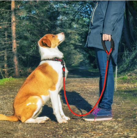 Dog Leash Nylon Pet Dog Leash Rope Reflective For Small Medium Large Dogs Walkin