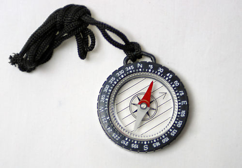 LIQUID FILLED COMPASS
