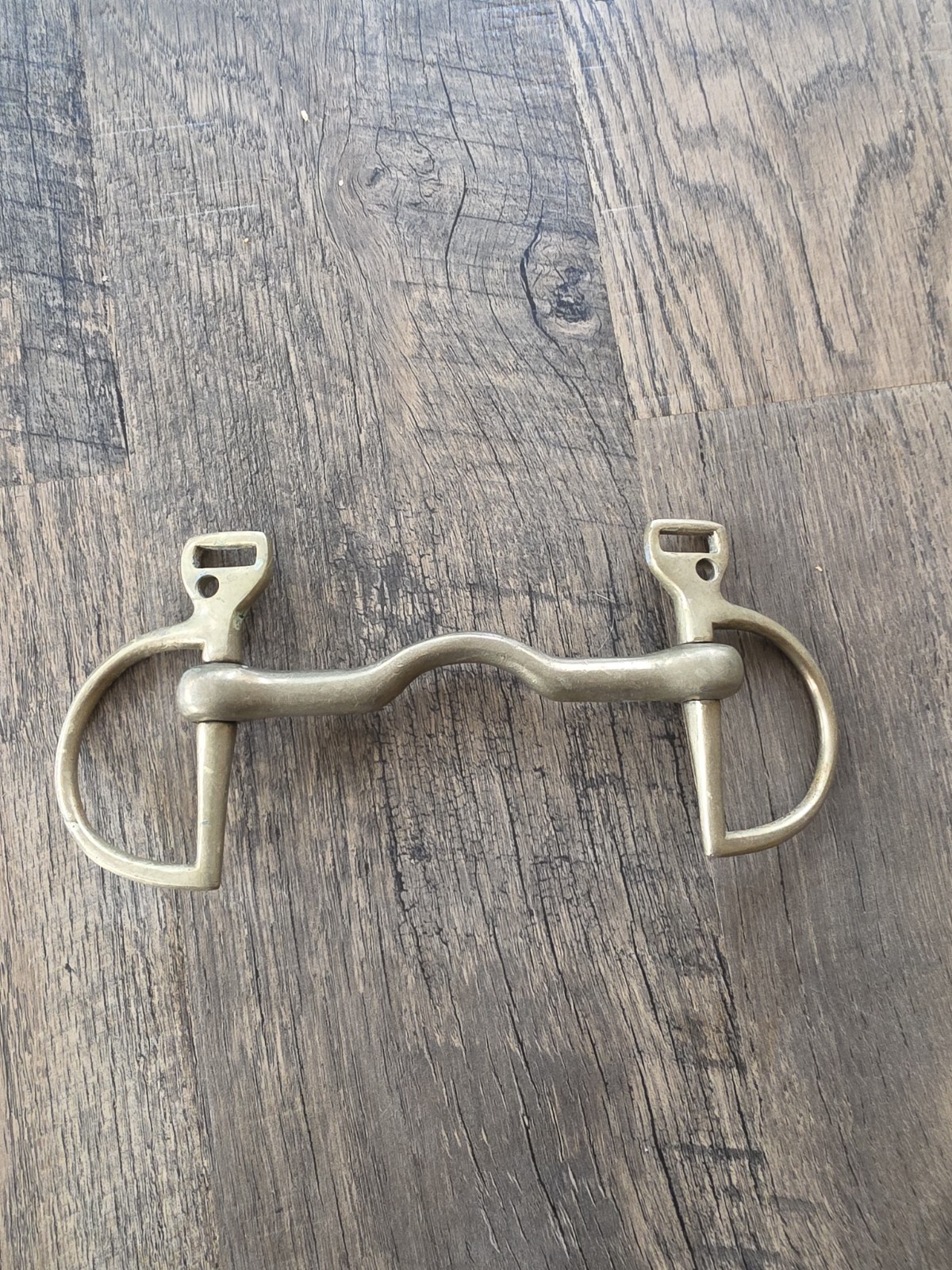 Horse Bit 5"