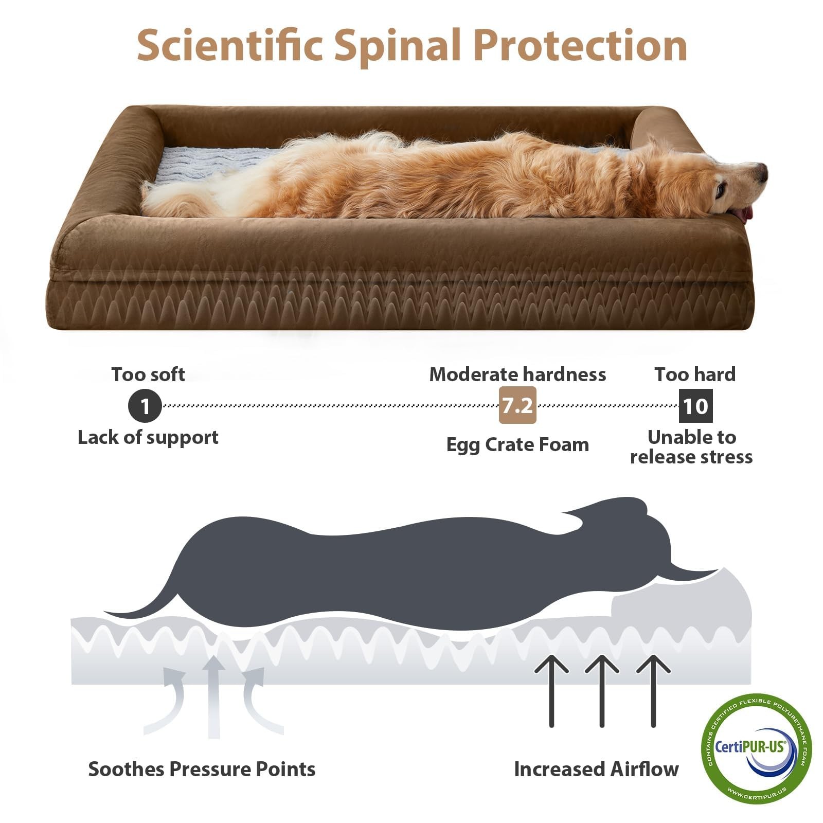 WNPETHOME XL Orthopedic Dog Bed, Washable, Waterproof Cover, Bolster Sides