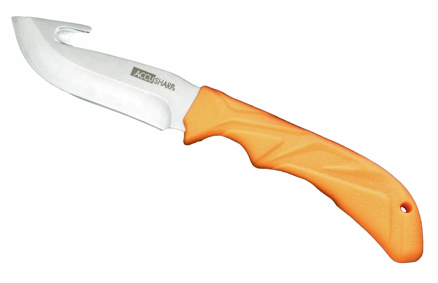 AccuSharp 729C Gut Hook 3.50" outdoor survival knife hunting fishing NEW