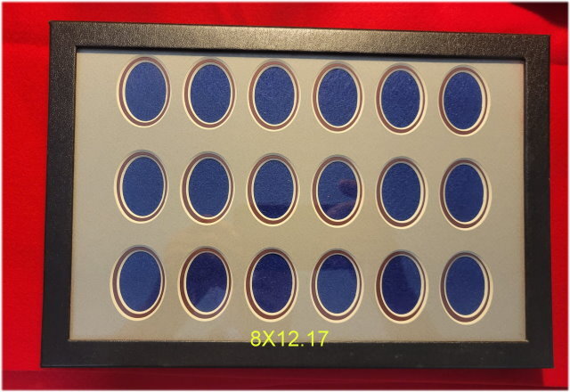 8"X12" Double Mat in 8"X12" Riker Case - 18 Oval Cut-Outs *NEW*