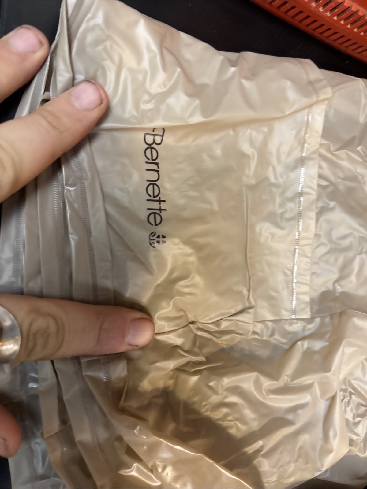 Bernina Bernette Deco 600 embroidery machine. Tested Working