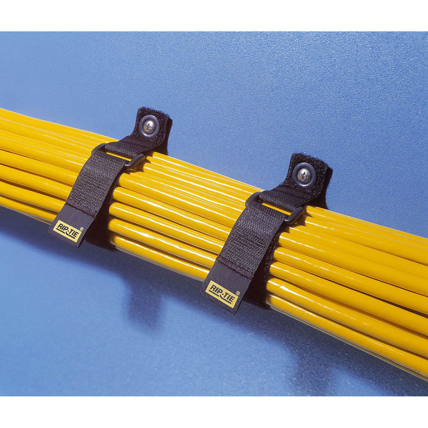 Rip-Tie CinchStrap-EG (1 x 7", 10-Pack, Black)