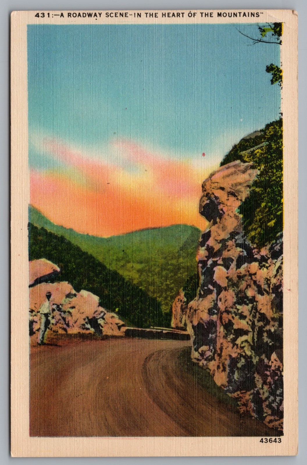 Roadway Scene In The Heart Of The Mountains Asheville NC Postcard TS-310