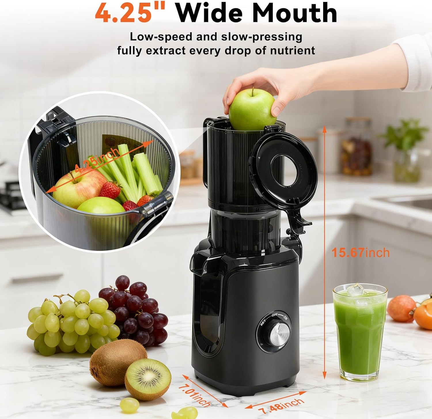Cold Press Juicer Machines, Masticating Juicer with High Juice Yield, Reverse Fu