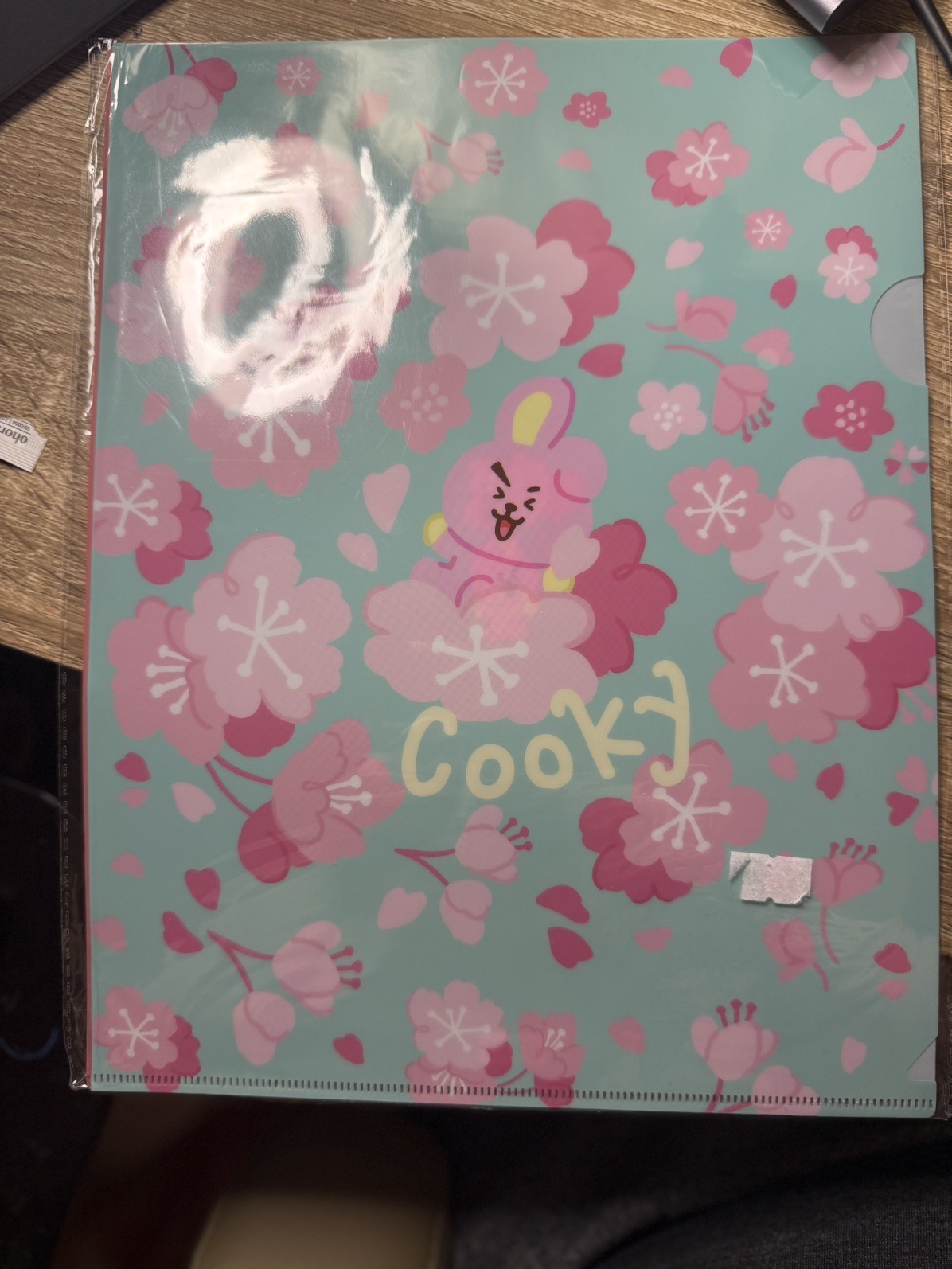 Folder Divider BT21 File Folder Cherry Blossom Edition Cooky and RJ
