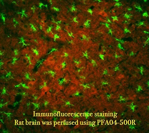 Paraformaldehyde, 4% in PBS - 500 mL  (TissuePro)