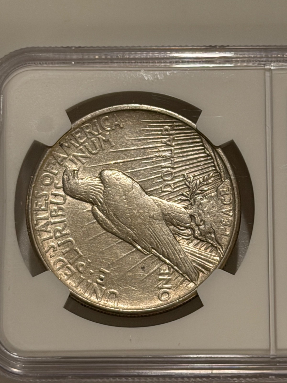 1921 Peace Silver Dollar NGC AU Details Key Date Peace