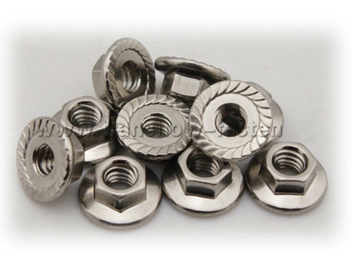 1/4"-20 (EXTRA WIDE) Flange Nuts • 316 Stainless Steel • Serrated Hex • Qty 50