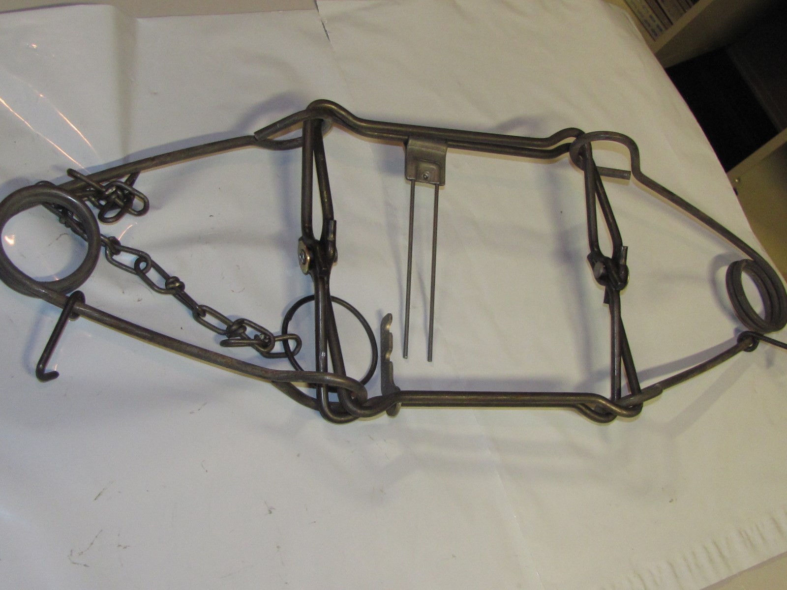 6 DUKE 220 BODY TRAPS RACCOON FOX BADGER MUSKRAT MINK  0420 new sale